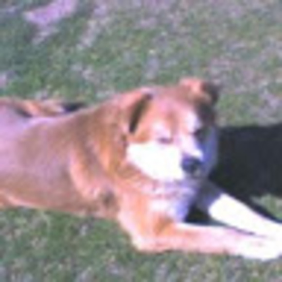 Meet your Posher, Mike - Picture 1 of 1